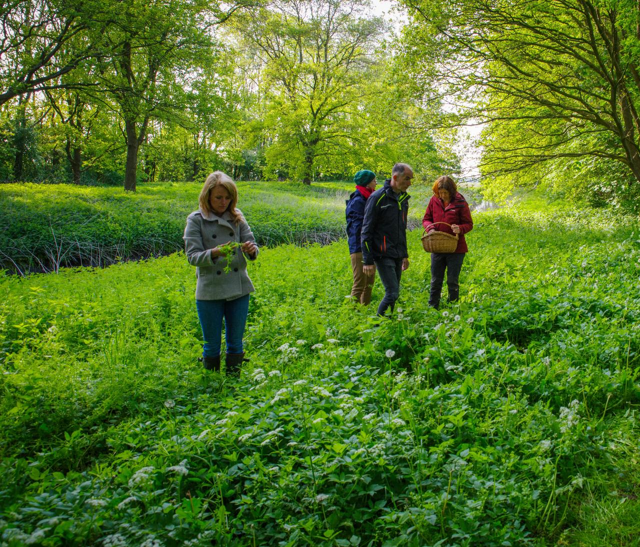 Seizoenswandeling eetbare natuur bij Plaats de Wereld