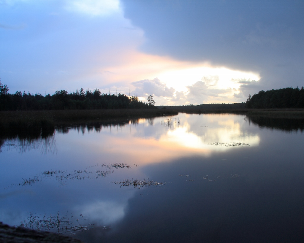 Winter langs de Elperstroom