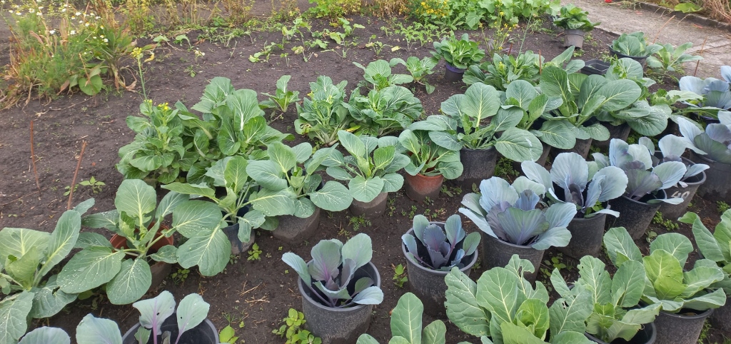 Interactieve lezing: het begint met de bodem