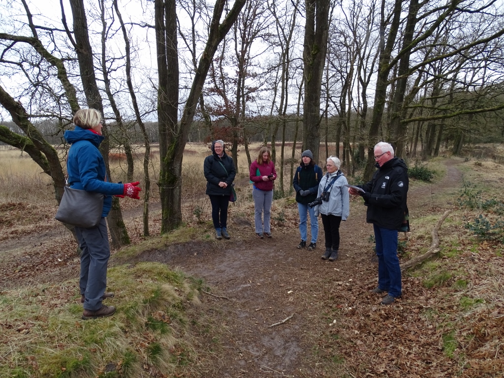 Ontdek de Appelbergen, de Glimmer Esch en het verdwenen hunebed