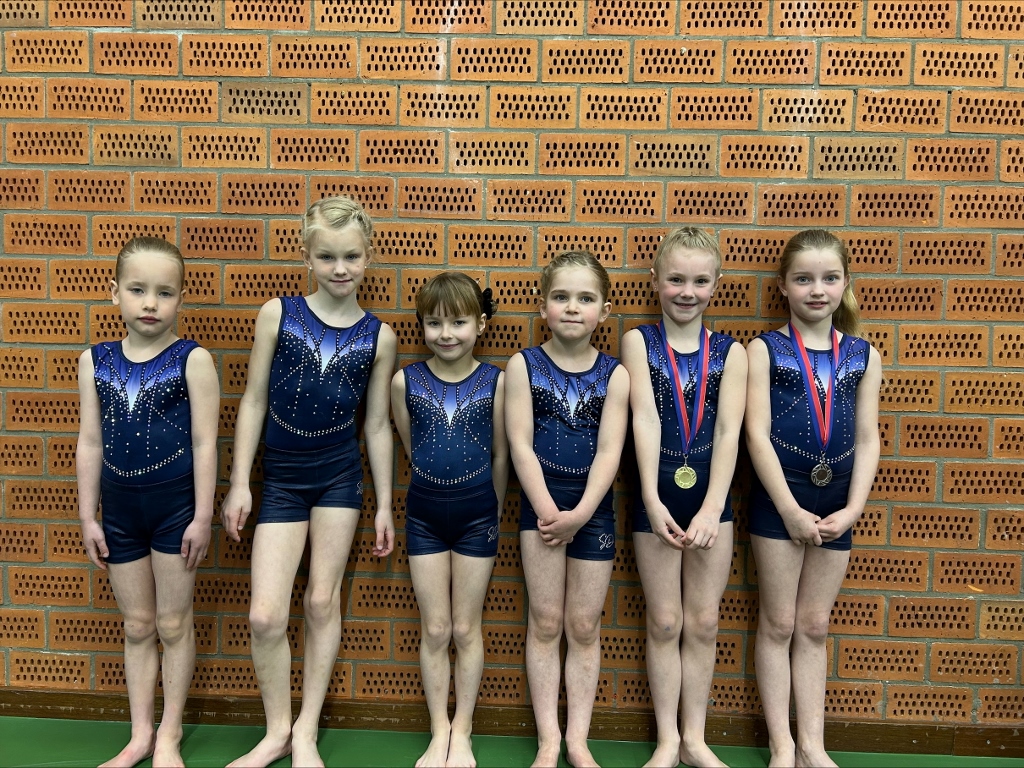 Goud voor Vako Turnen in Norg