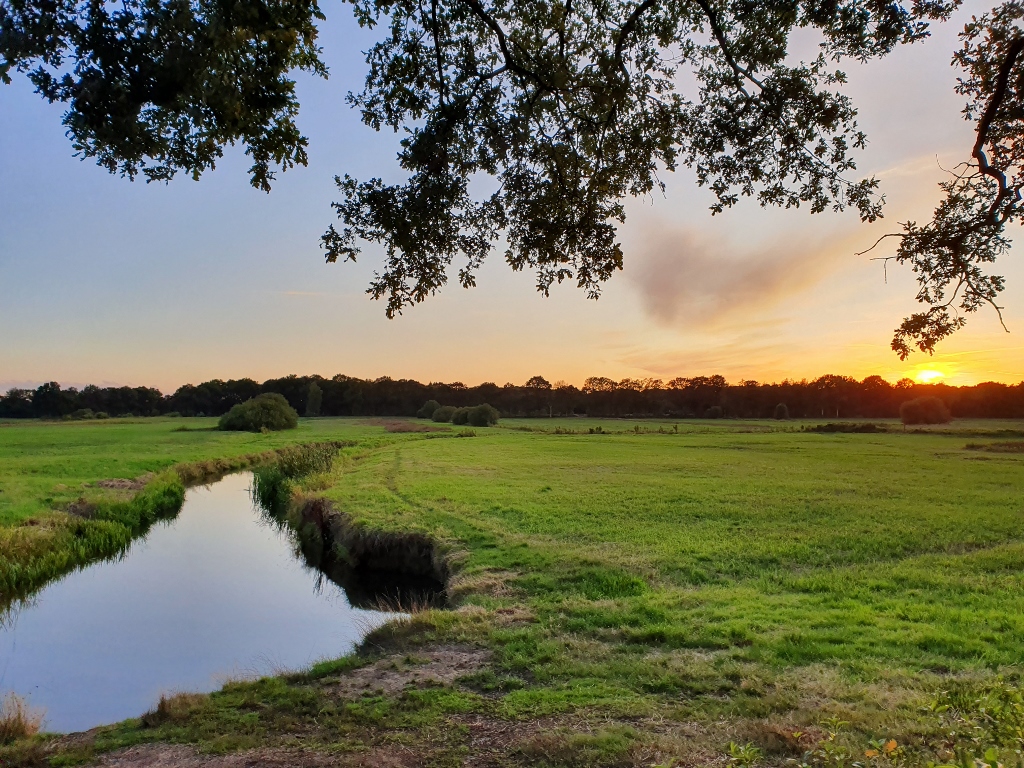 Wandelen langs Zeegserloopje en Schipborgsche diep