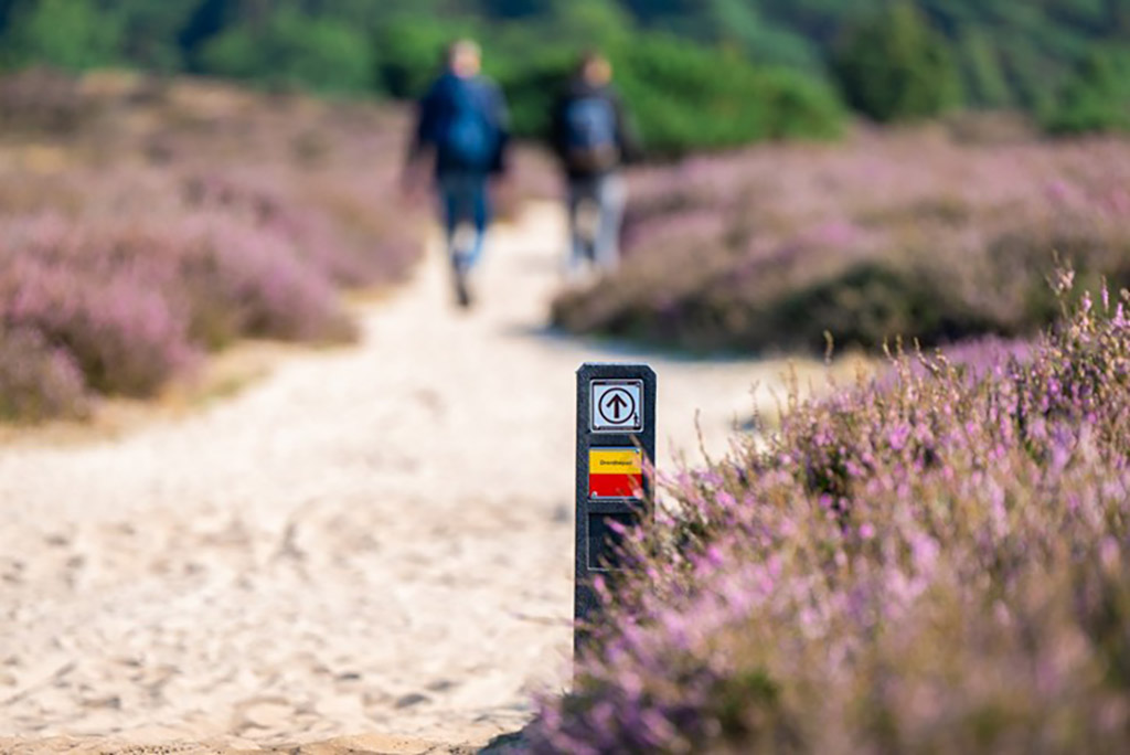 Al vijftig jaar op pad: het Drenthepad viert jubileum