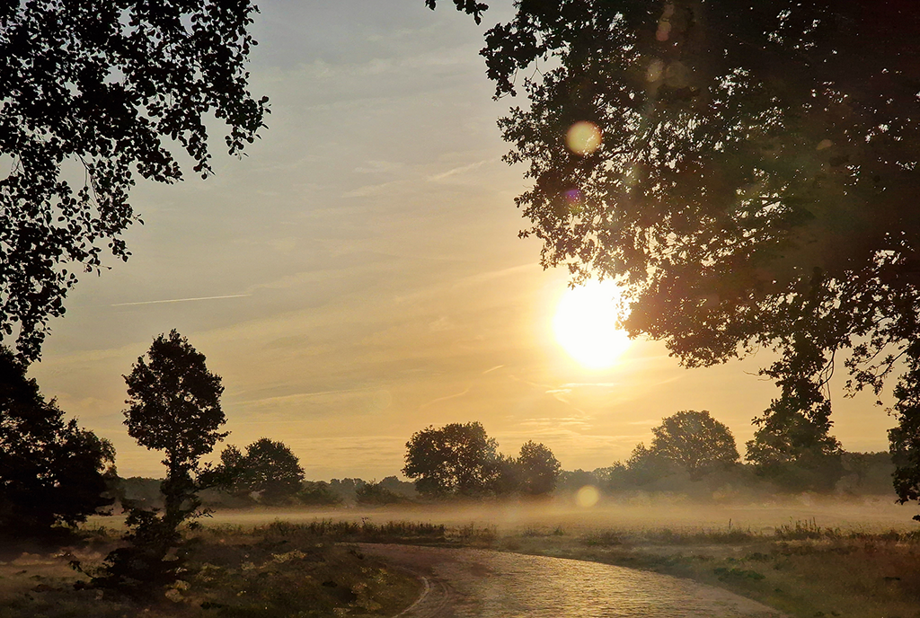 Dauwtrappen langs de Drentsche Aa
