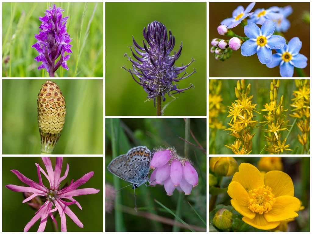 Vier de Dag van het Nationaal Park op 24 mei