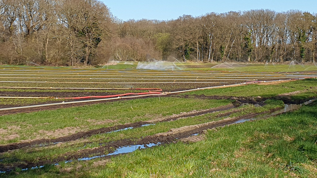 Lelieteelt, waterkwaliteit, gezondheid en bezorgdheid