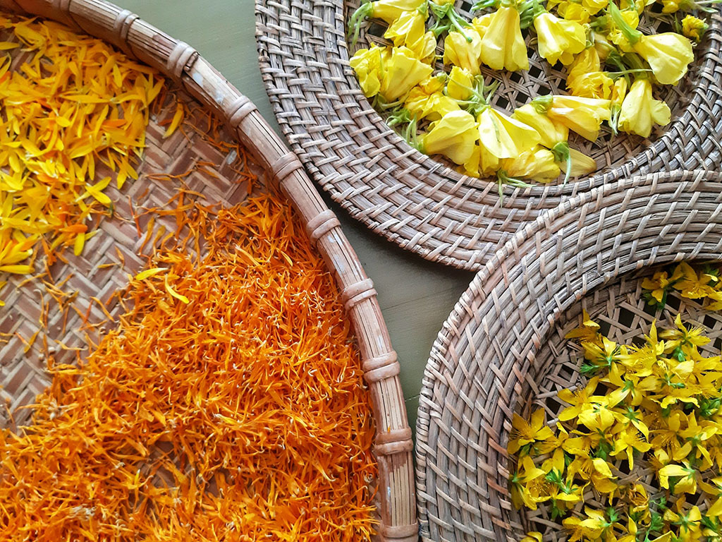 Workshop kruidenthee samenstellen