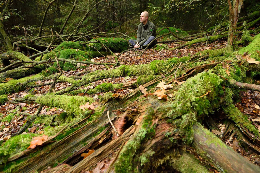 Zintuigenwandeling Noordsche Veld