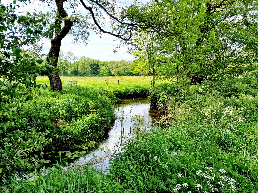 Dichter langs het Amerdiep