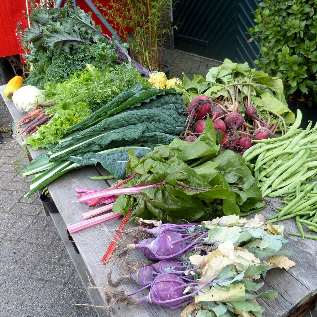 Workshop Puur Plantaardig Koken