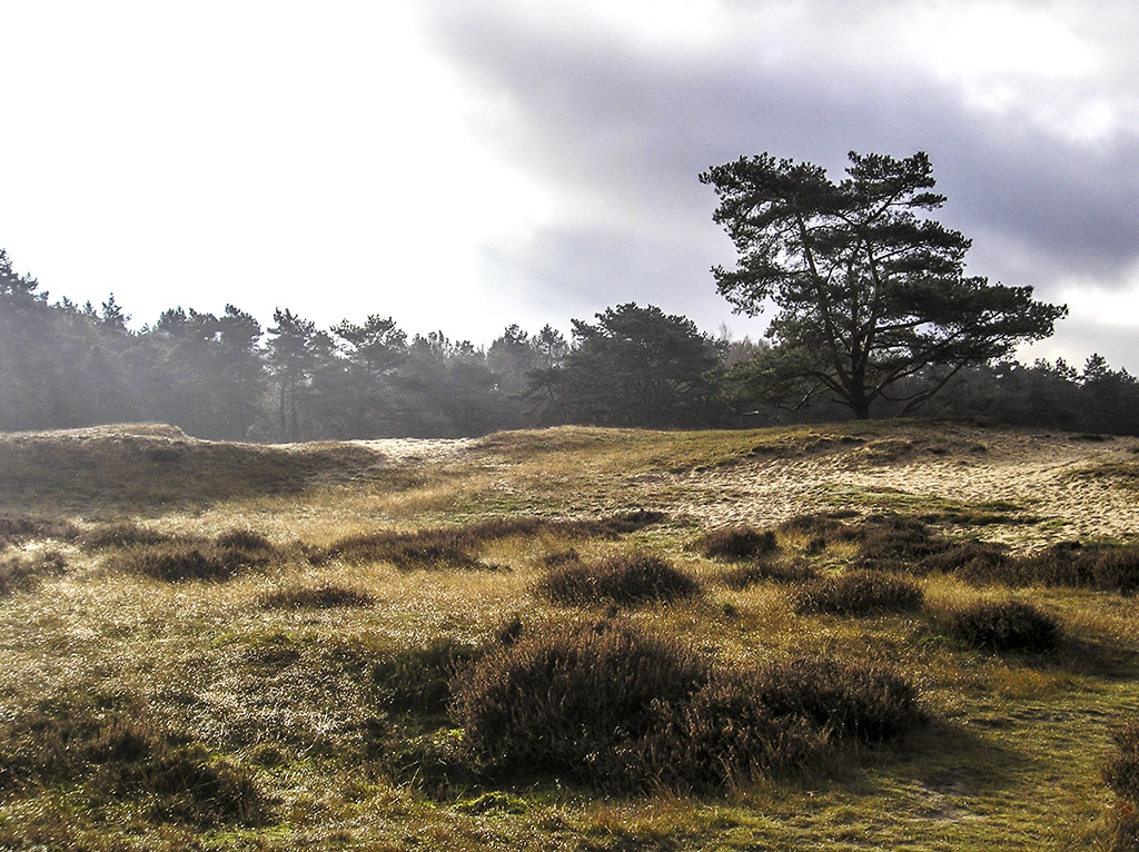Fotografeer en meer op het Drouwenerzand