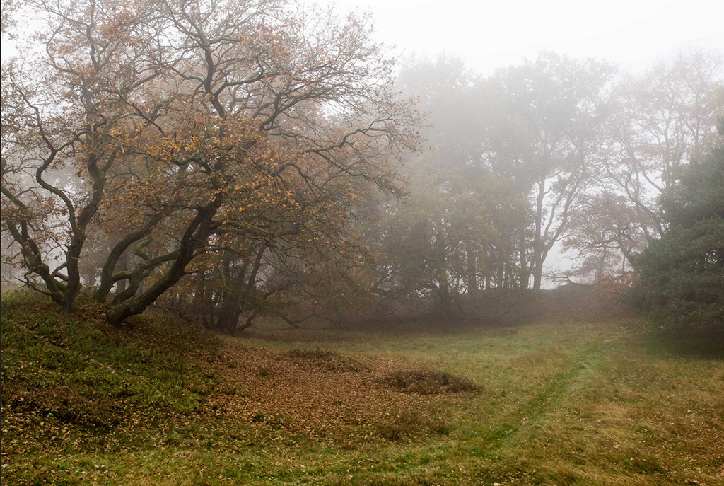 Nazomerwandeling door een landschap vol verhalen