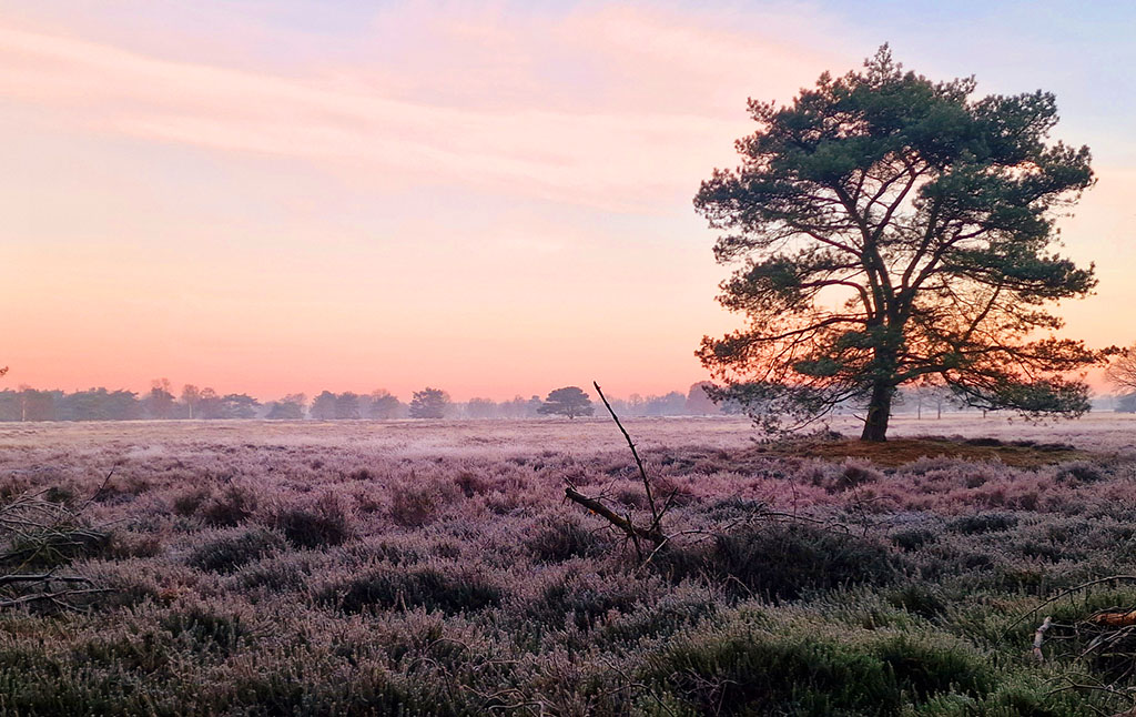 Beleef het Ballooërveld op 4 oktober