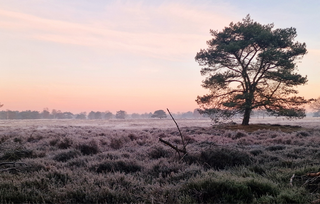 Beleef het Ballooërveld