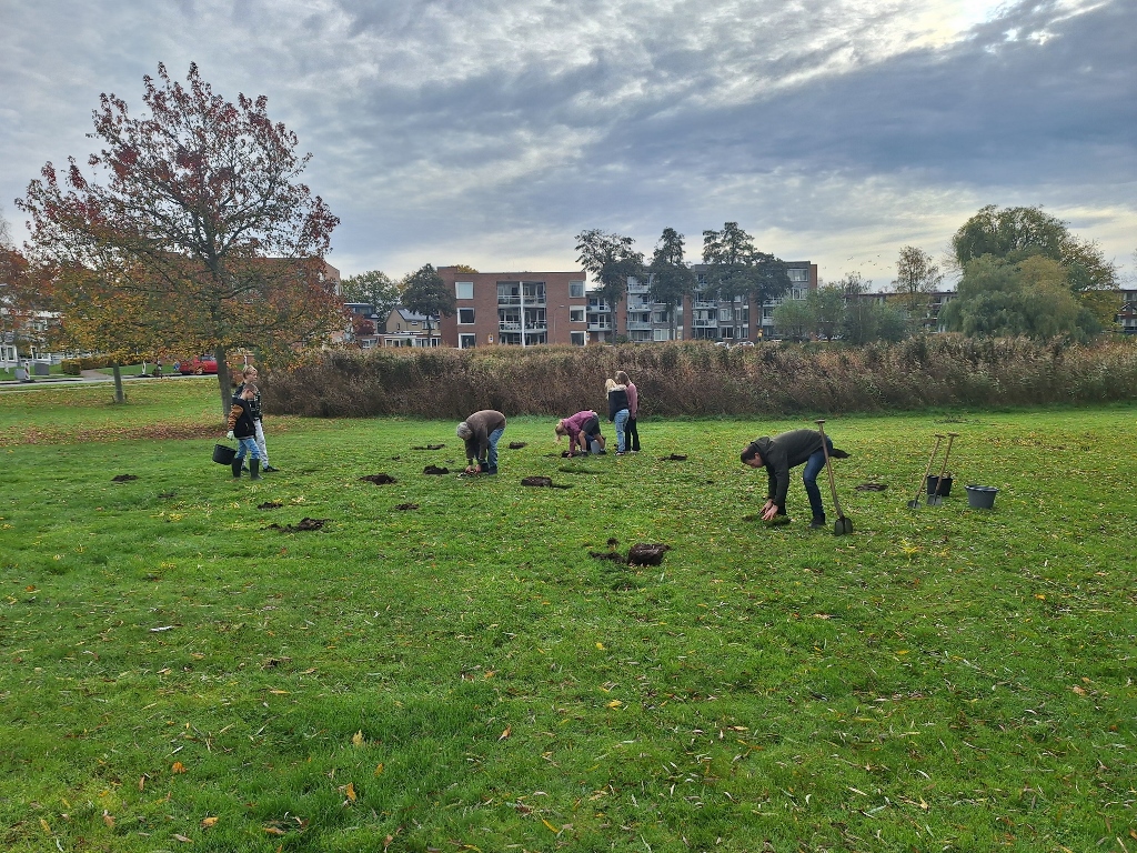 Bloembollen voor biodiversiteit